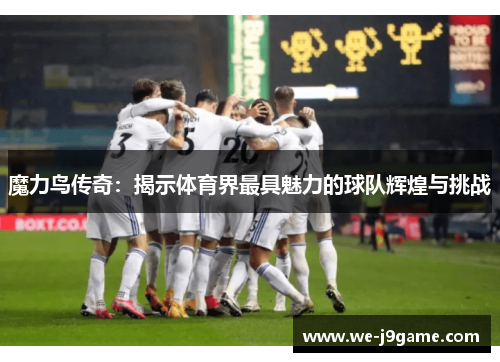 魔力鸟传奇:揭示体育界最具魅力的球队辉煌与挑战 魔力鸟传奇:揭示体育界最具魅力的球队辉煌与挑战